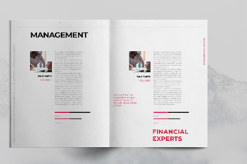 Red Company Brochure Template