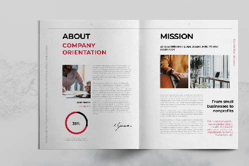 Red Company Brochure Template