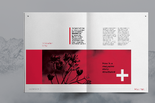 Lifestyle Magazine Template