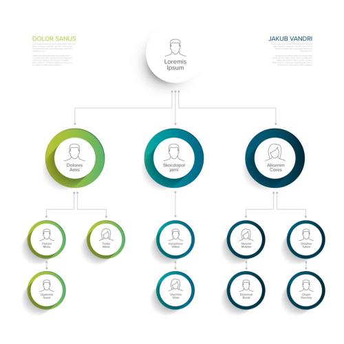 Company Hierarchy Schema Layout - 321317140