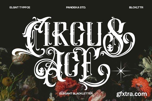 Circus Ace - Modern Elegant Blackletter 7LB9YXH