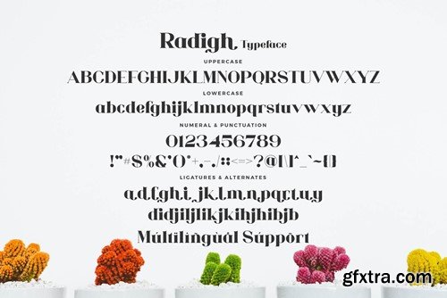 Radigh - Stylish Ligature Font FJNJM42