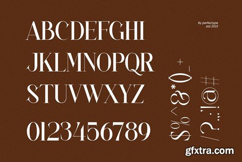 Hunter Elegant Serif Font Typeface RTYD3G9