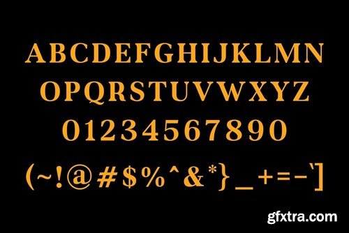 TUNER - MODERN SERIF TYPEFACE Q44DULG