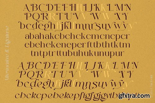 Lofty Chic - Elegant Font K7CW7J5