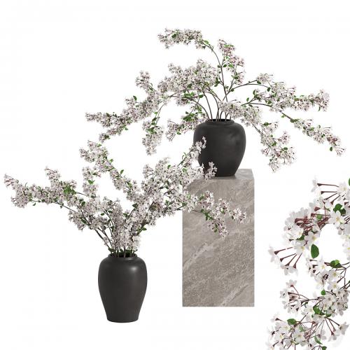 Vases with Branches White Cherry