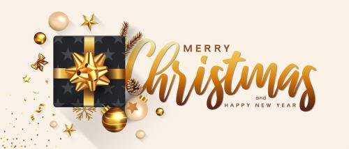 Merry Christmas and Happy New Year greeting card