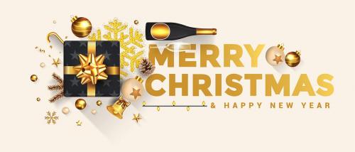 Merry Christmas and Happy New Year greeting card