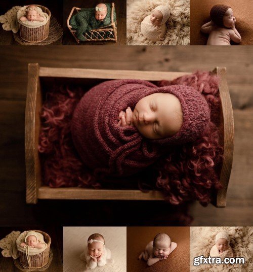 Appleseed Photography - Newborn Workshop