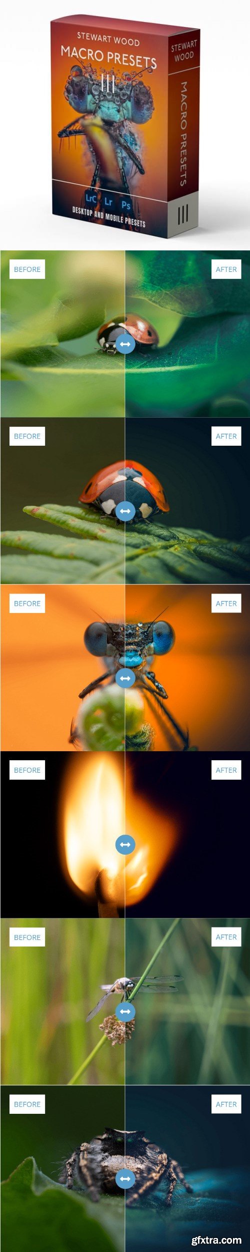 Stewart Wood - Macro Presets V3 (16 AI Adaptive Presets)