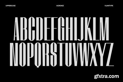 Agrokiz - Modern luxury Font BWJMAF9