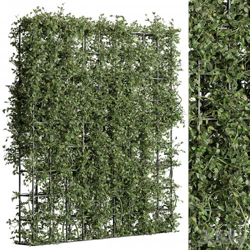 Vertical Garden Partiton - Set 81