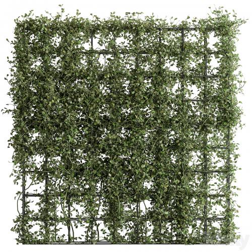 Vertical Garden Partiton - Set 81