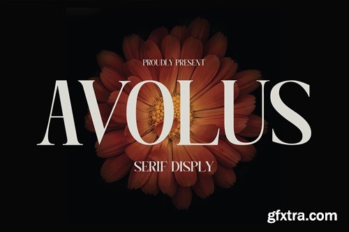 Avolus Display - A Modern Serif Font 8BPZCP9