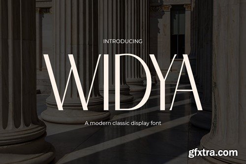 Widya - Classic Sans Serif Modern Font 2PGVXSV