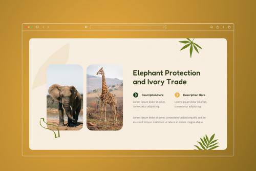 Erazoo - Animal Conservation PowerPoint Template