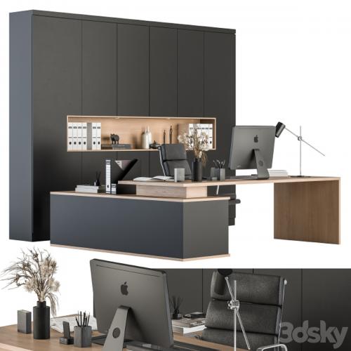 Office Furniture - Manager Set 25