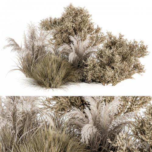 Dried Wild Plants Bush - Bush Set 36