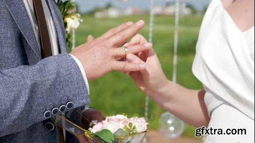 Videohive Golden Wedding 49627174