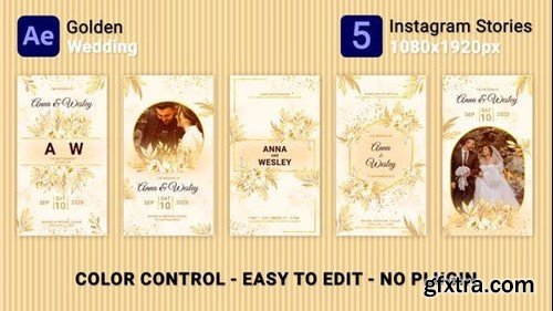 Videohive Golden Wedding Instagram Stories 47533457