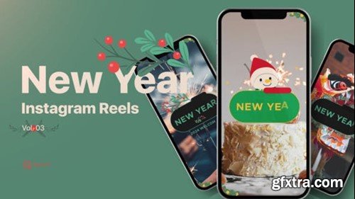 Videohive New Year Reels Vol. 03 49686710