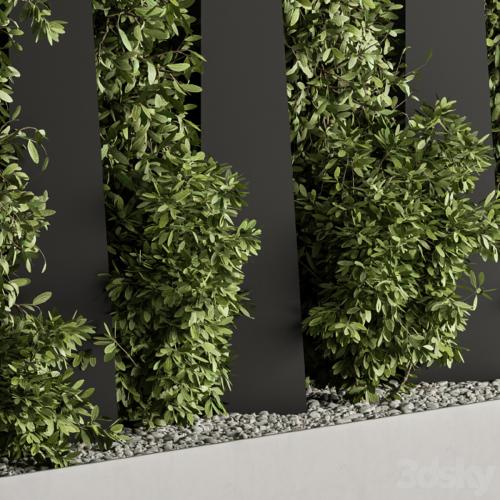 Outdoor Green Wall and Fence - Architecture Element 44