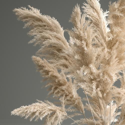 A beautiful lush bouquet of dried flowers in a vase with dry branches of pampas, Cortaderia, white reeds. 150.