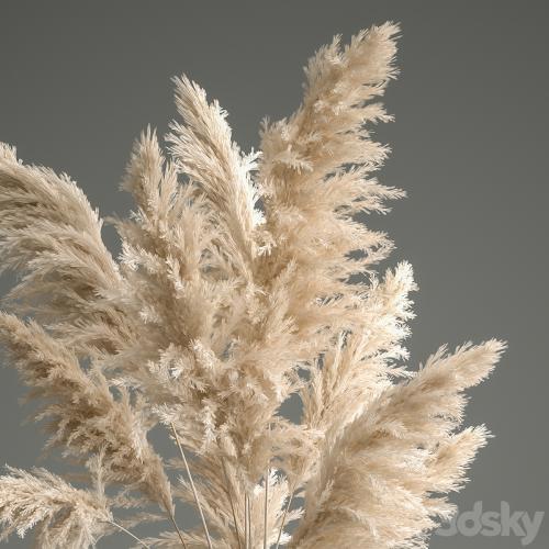 A beautiful lush bouquet of dried flowers in a vase with dry branches of pampas, Cortaderia, white reeds. 150.