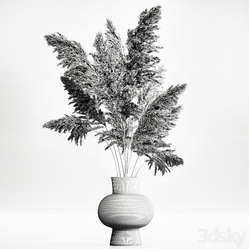 A beautiful lush bouquet of dried flowers in a vase with dry branches of pampas, Cortaderia, white reeds. 150.