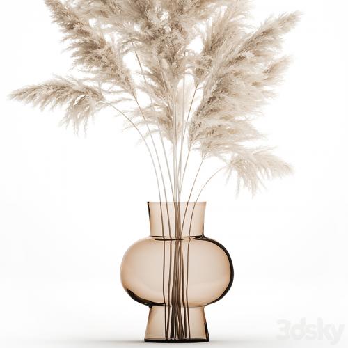 A beautiful lush bouquet of dried flowers in a vase with dry branches of pampas, Cortaderia, white reeds. 150.