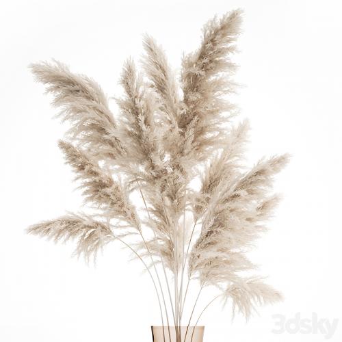 A beautiful lush bouquet of dried flowers in a vase with dry branches of pampas, Cortaderia, white reeds. 150.