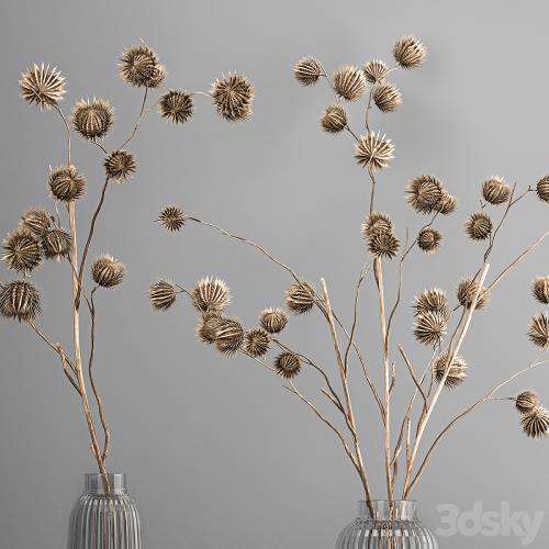 Bouquet of dried flowers in a vase with branches of dry thorns thistle . 182.