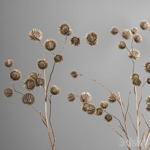 Bouquet of dried flowers in a vase with branches of dry thorns thistle . 182.