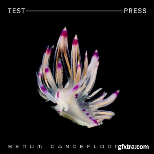 Test Press Serum Dancefloor DnB