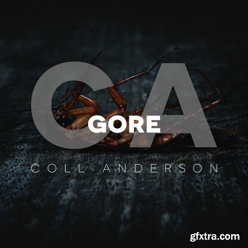 C.A. Sound Inc Gore