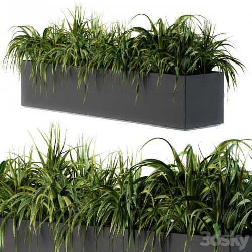 Ranch Grass plants in box - Outdoor Set 63