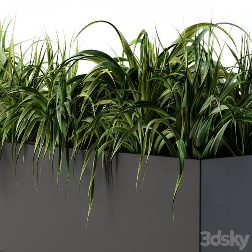 Ranch Grass plants in box - Outdoor Set 63