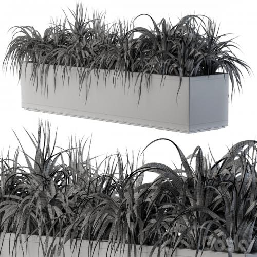 Ranch Grass plants in box - Outdoor Set 63