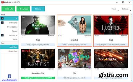 FlixGrab Plus 1.7.3.2095 Premium