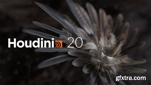 SideFX Houdini 20.0.547 x64 Win/Lnx
