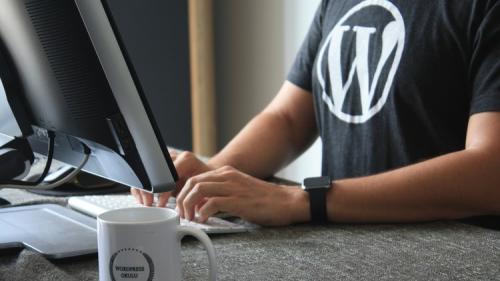 Udemy - सीखें WordPress हिन्दी में