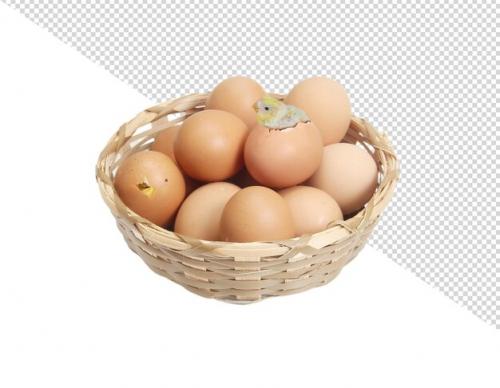 Egg Png