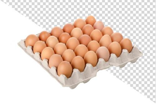 Egg Png