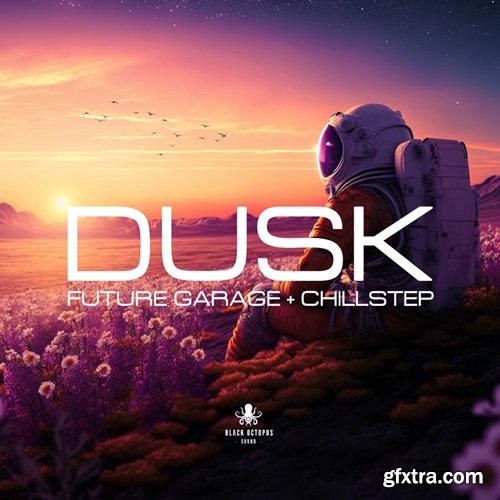 Black Octopus Sound Dusk Future Garage and Chillstep