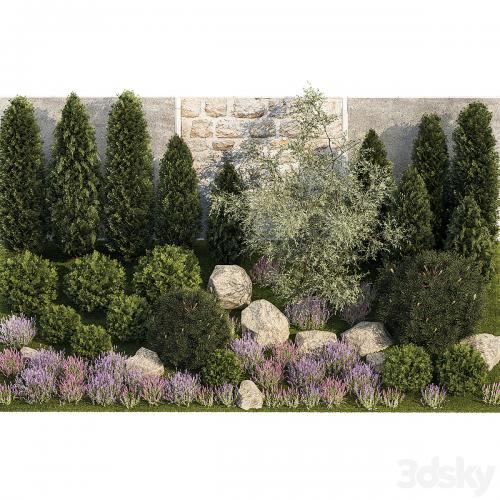 Beautiful garden with arborvitae and landscaping with pine, cypress, topiary, boulder stones, flowers and lavender, sage bushes. 1265