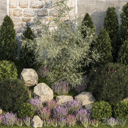 Beautiful garden with arborvitae and landscaping with pine, cypress, topiary, boulder stones, flowers and lavender, sage bushes. 1265