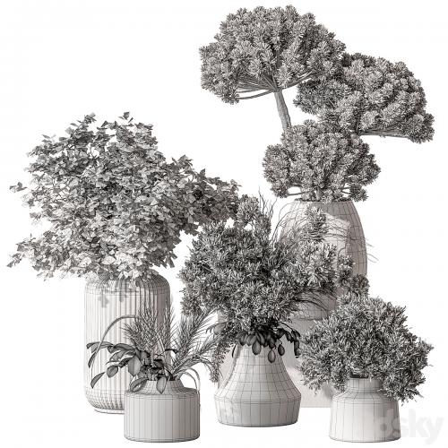 Bouquet - Dried Plant Set 105