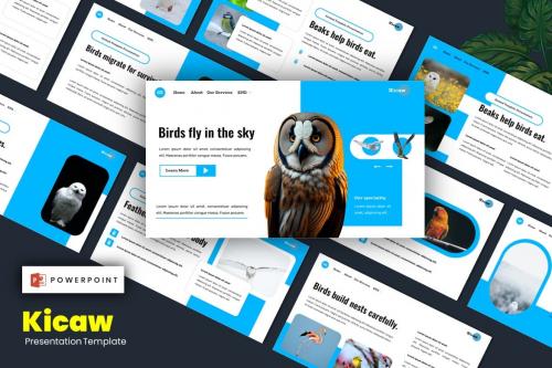 Kicaw - Bird Animal and Pets Powerpoint Template