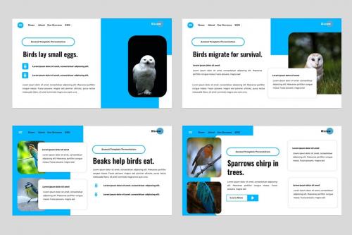 Kicaw - Bird Animal and Pets Powerpoint Template