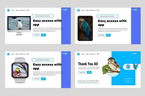 Kicaw - Bird Animal and Pets Powerpoint Template